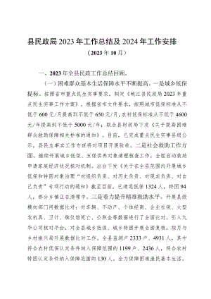 民政局关于2023年工作总结和2024年工作安排的报告.docx