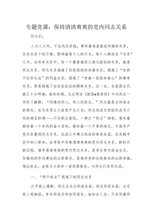 专题党课：保持清清爽爽的党内同志关系.docx