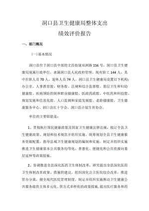洞口县卫生健康局整体支出绩效评价报告.docx