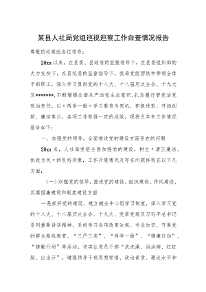 某县人社局党组巡视巡察工作自查情况报告.docx