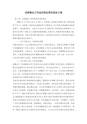 巡察整改工作组织落实情况报告6篇.docx