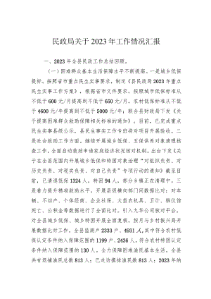 民政局关于2023年工作情况汇报.docx