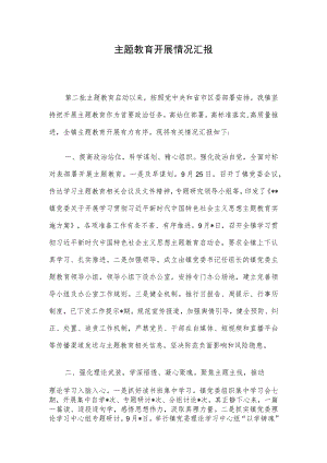 主题教育开展情况汇报.docx