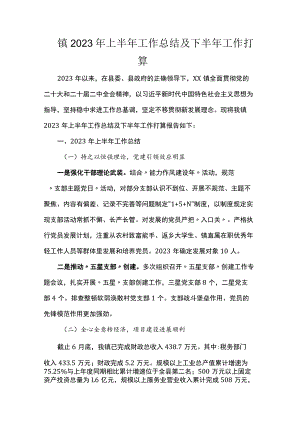 镇2023年上半年工作总结及下半年工作打算.docx