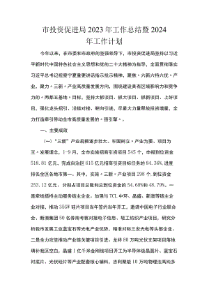 市投资促进局2023年工作总结暨2024年工作计划.docx