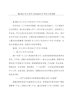 镇2021年上半年工作总结与下半年工作安排.docx