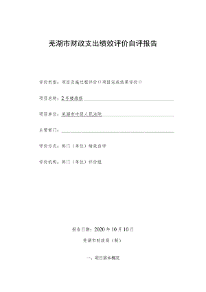 芜湖市财政支出绩效评价自评报告.docx