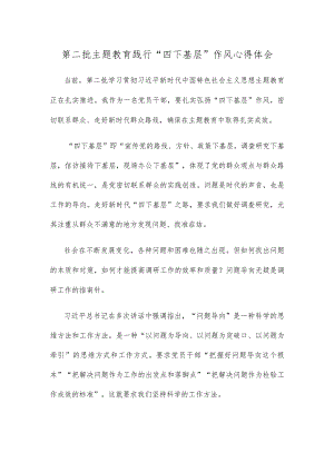 第二批主题教育践行“四下基层”作风心得体会.docx