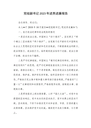 党组副书记2023年述责述廉报告.docx