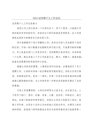 2023试用期个人工作总结.docx