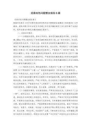 巡察共性问题整改报告6篇.docx