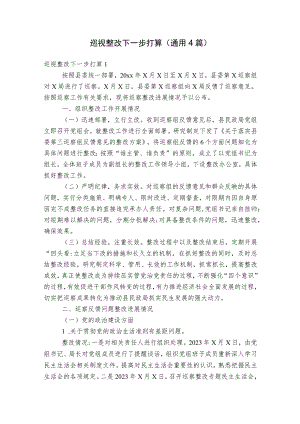巡视整改下一步打算(通用4篇).docx