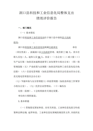 洞口县科技和工业信息化局整体支出绩效评价报告.docx