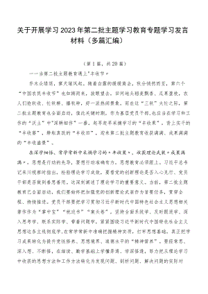 关于开展学习2023年第二批主题学习教育专题学习发言材料（多篇汇编）.docx