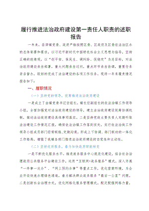 履行推进法治政府建设第一责任人职责的述职报告.docx