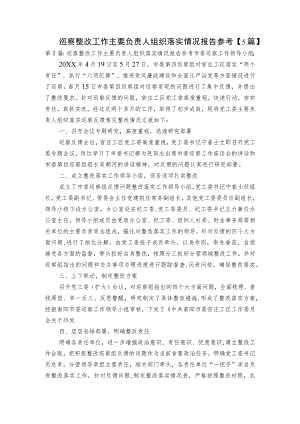 巡察整改工作主要负责人组织落实情况报告参考【5篇】.docx