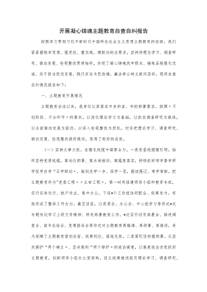 开展凝心铸魂主题教育自查自纠报告.docx