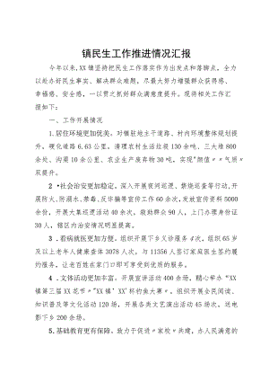 镇民生工作推进情况汇报.docx