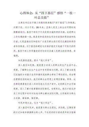 心得体会：从“四下基层”感悟“一枝一叶总关情”.docx