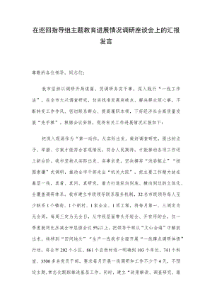 在巡回指导组主题教育进展情况调研座谈会上的汇报发言.docx