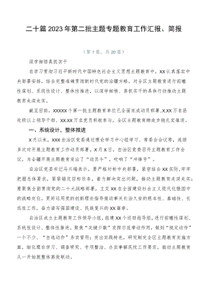 二十篇2023年第二批主题专题教育工作汇报、简报.docx