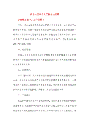 护士转正表个人工作总结三篇.docx