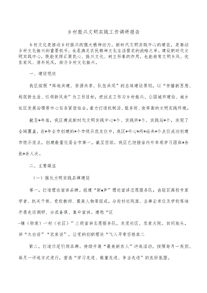 乡村振兴文明实践工作调研报告.docx