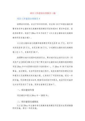 项目工作建设自查报告三篇.docx