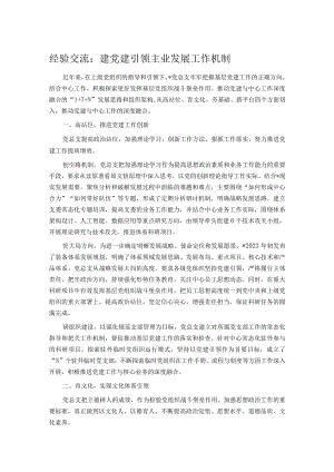 经验交流：建党建引领主业发展工作机制.docx