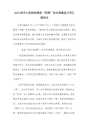 2023某中心党组织推进“四强”党支部建设工作汇报范文.docx