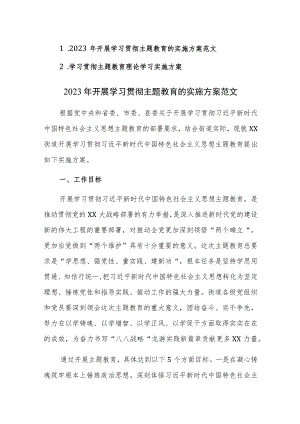 2023年开展学习贯彻主题教育及理论学习实施方案范文2篇.docx