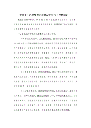 中学关于巡察整改进展情况的报告.docx