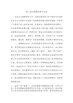 第二批主题教育研讨发言材料范文参考.docx
