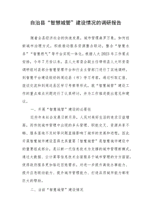 自治县“智慧城管”建设情况的调研报告.docx