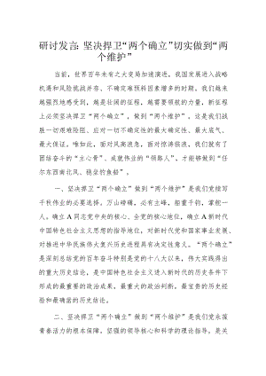 研讨发言：坚决捍卫“两个确立”切实做到“两个维护”.docx