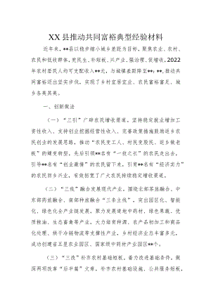 XX县推动共同富裕典型经验材料.docx