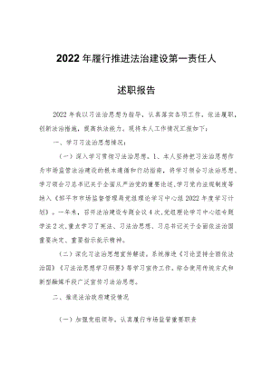 2022年履行推进法治建设第一责任人述职报告.docx