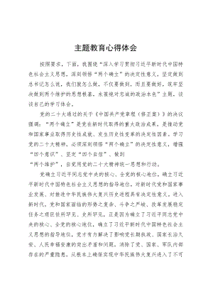 主题教育心得体会 (9).docx