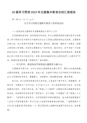 20篇学习贯彻2023年主题集中教育总结汇报报告.docx