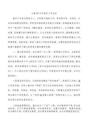 乡镇23年年意识工作总结.docx
