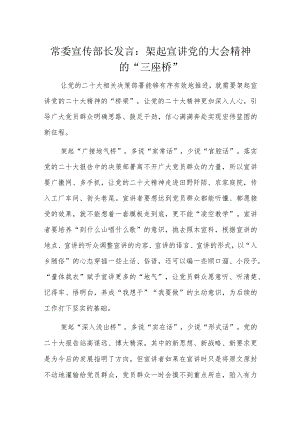 常委宣传部长发言.docx