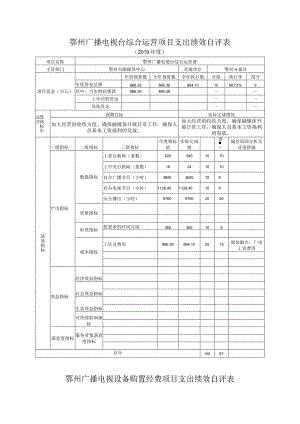 鄂州广播电视台综合运营项目支出绩效自评表.docx