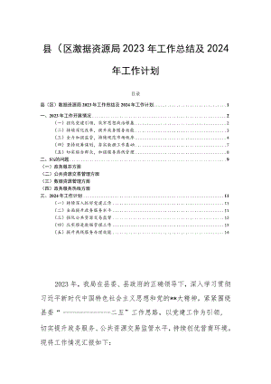 县（区）数据资源局2023年工作总结及2024年工作计划.docx