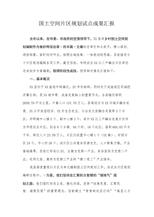 国土空间片区规划试点成果汇报.docx