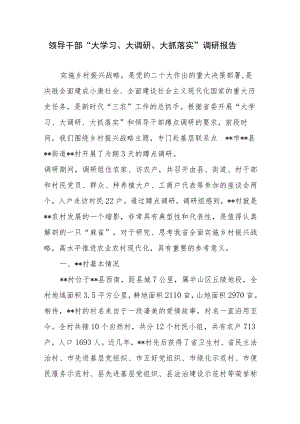 领导干部“大学习、大调研、大抓落实”调研报告.docx