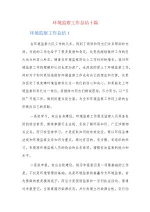环境监察工作总结十篇.docx