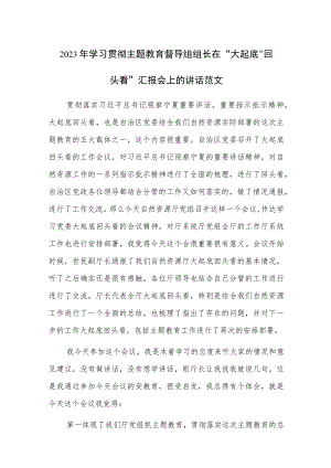 2023年学习贯彻主题教育督导组组长在“大起底”“回头看”汇报会上的讲话范文.docx