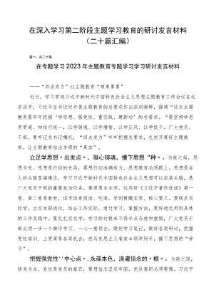 在深入学习第二阶段主题学习教育的研讨发言材料（二十篇汇编）.docx