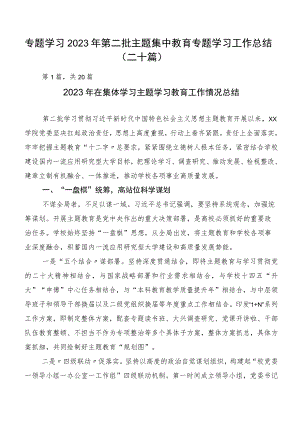 专题学习2023年第二批主题集中教育专题学习工作总结（二十篇）.docx