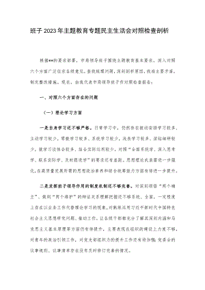 班子2023年主题教育专题民主生活会对照检查剖析.docx